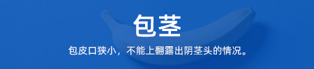 包茎